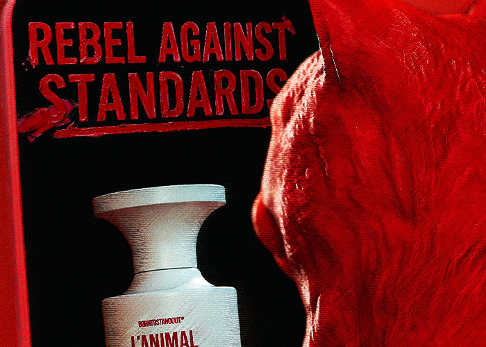 A Letter to Our Community and CULT JOURNAL VOL.9