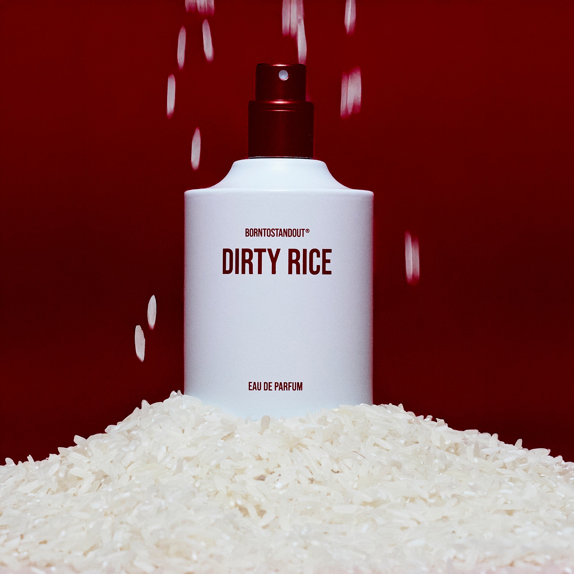 DIRTY RICE – BORNTOSTANDOUT