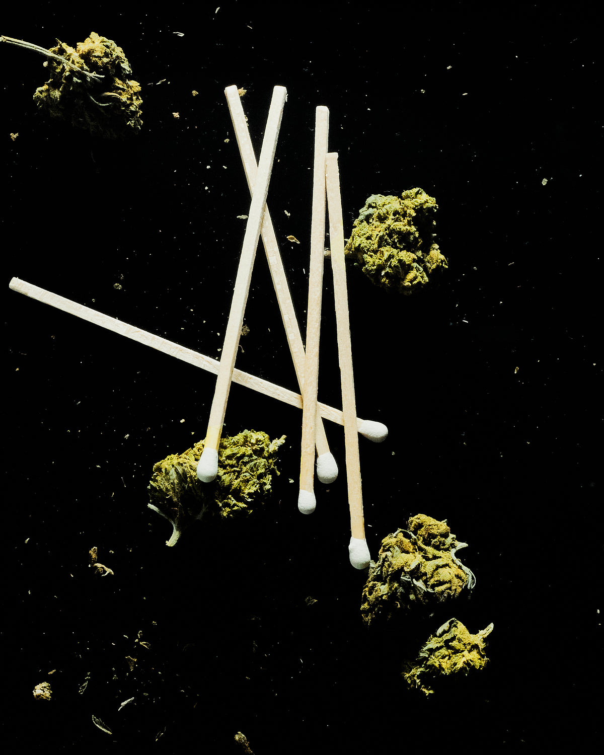 MARY JANE-L