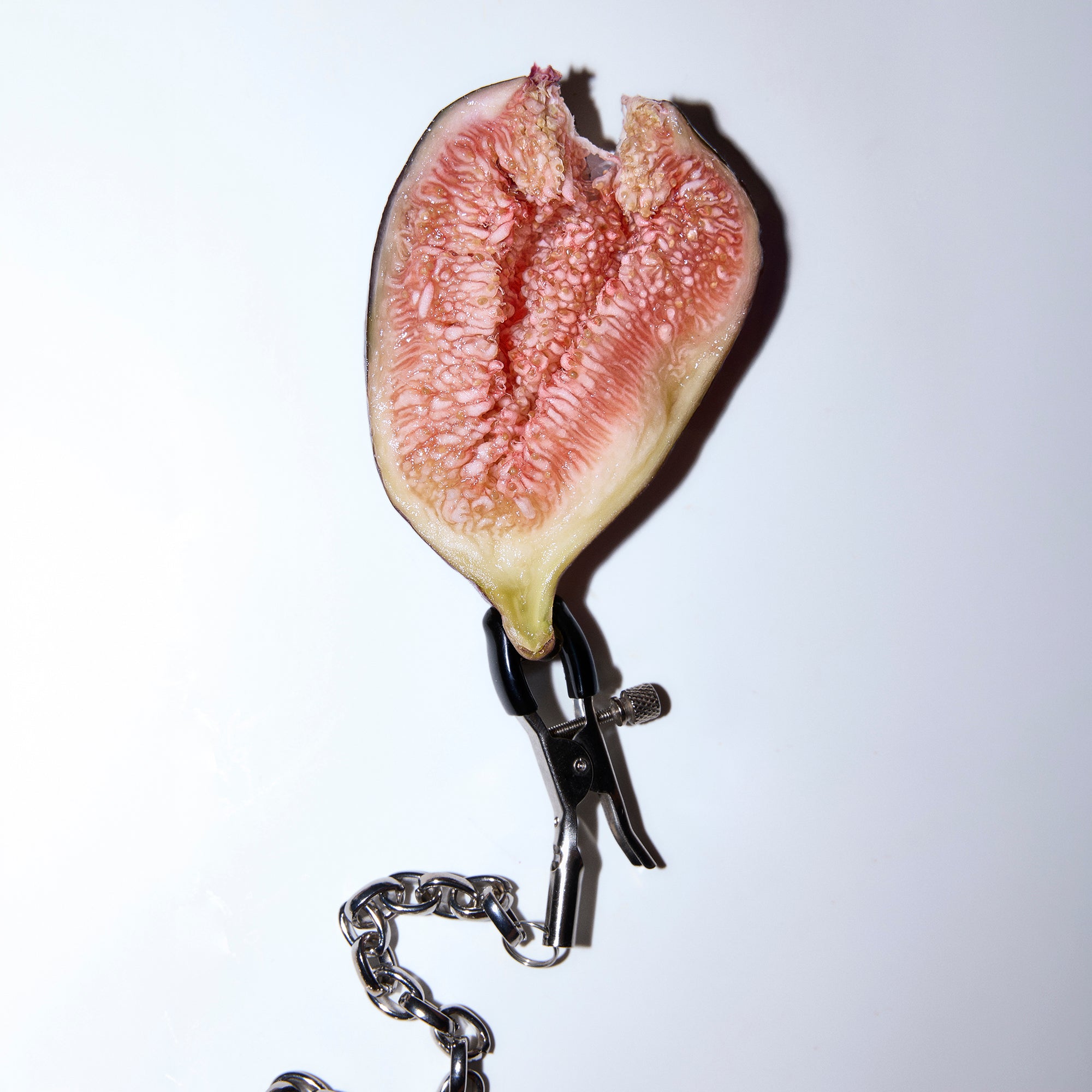 FIG PORN – BORNTOSTANDOUT