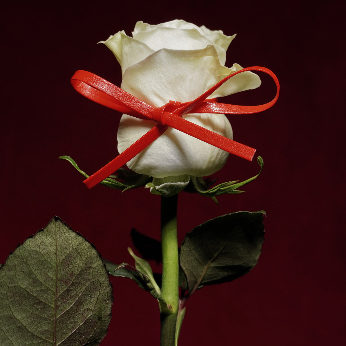 SIN & PLEASURE-C