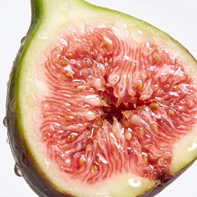 FIG