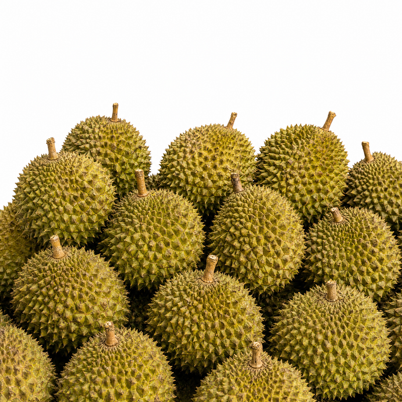 MAO SHAN WANG DURIAN