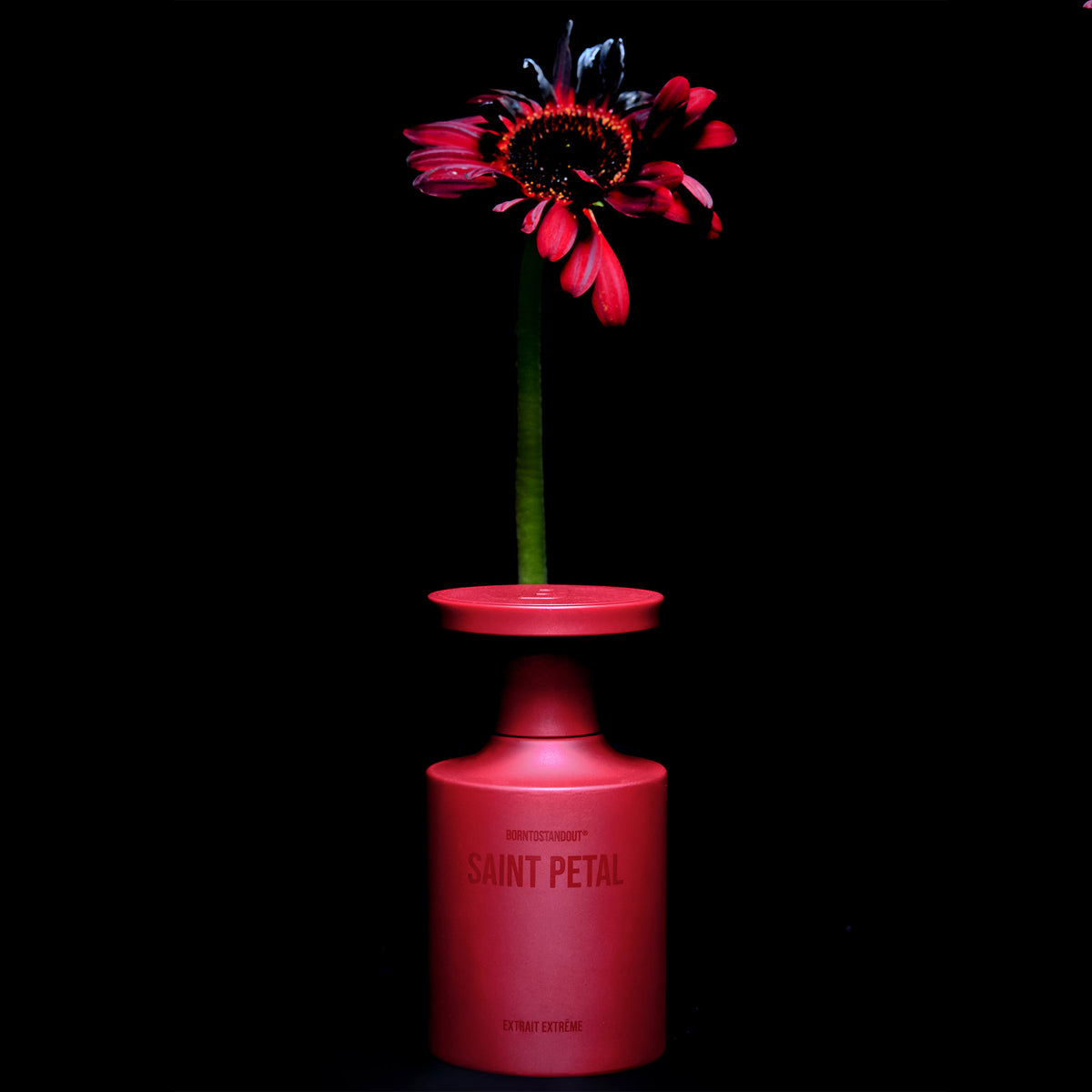 SAINT PETAL - L