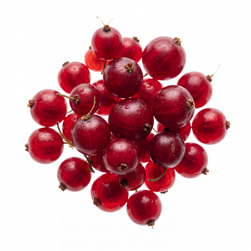 RED BERRIES 