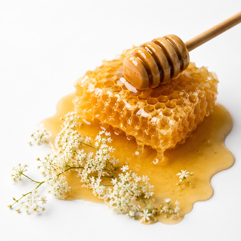 WILDFLOWER HONEY