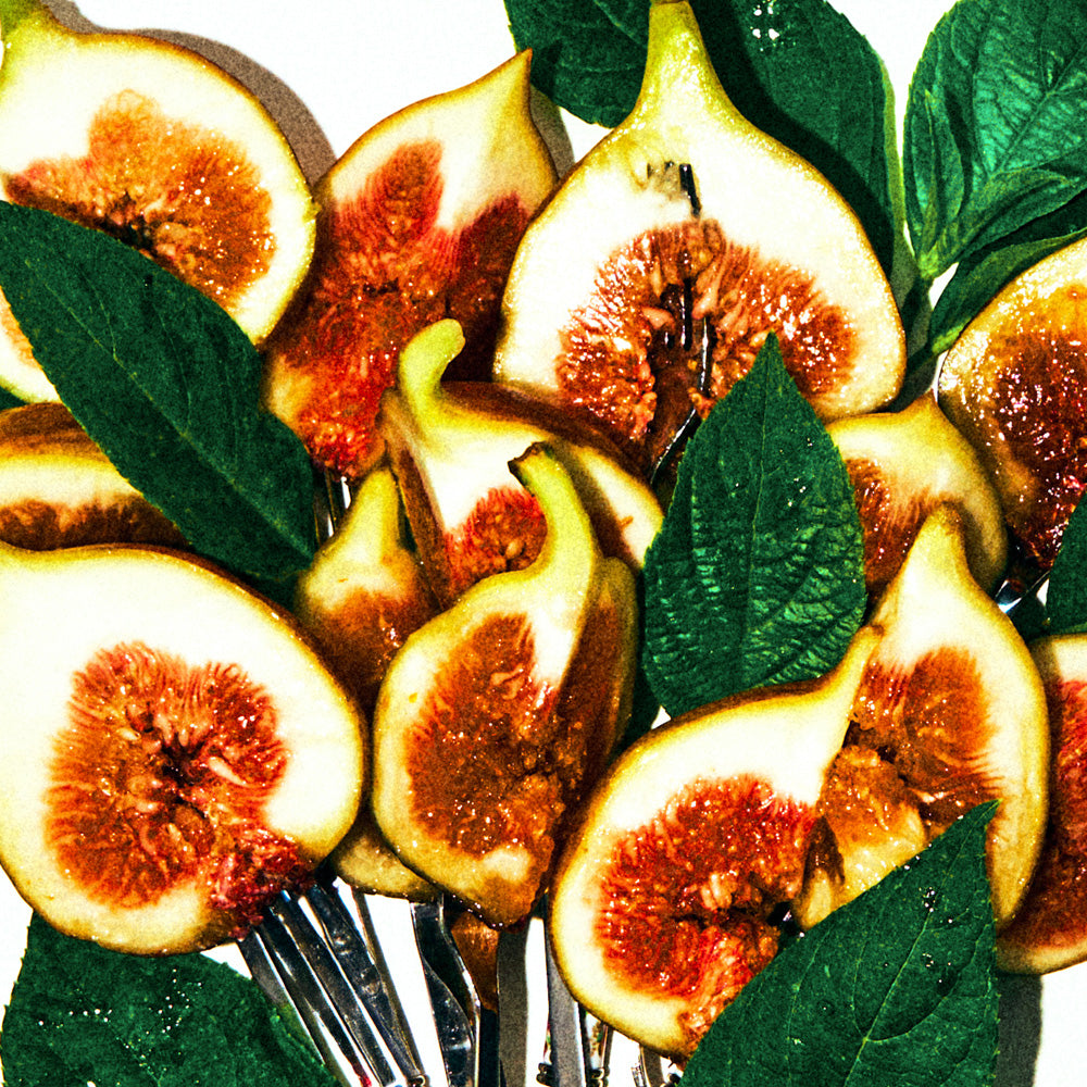 FIG PORN – BORNTOSTANDOUT