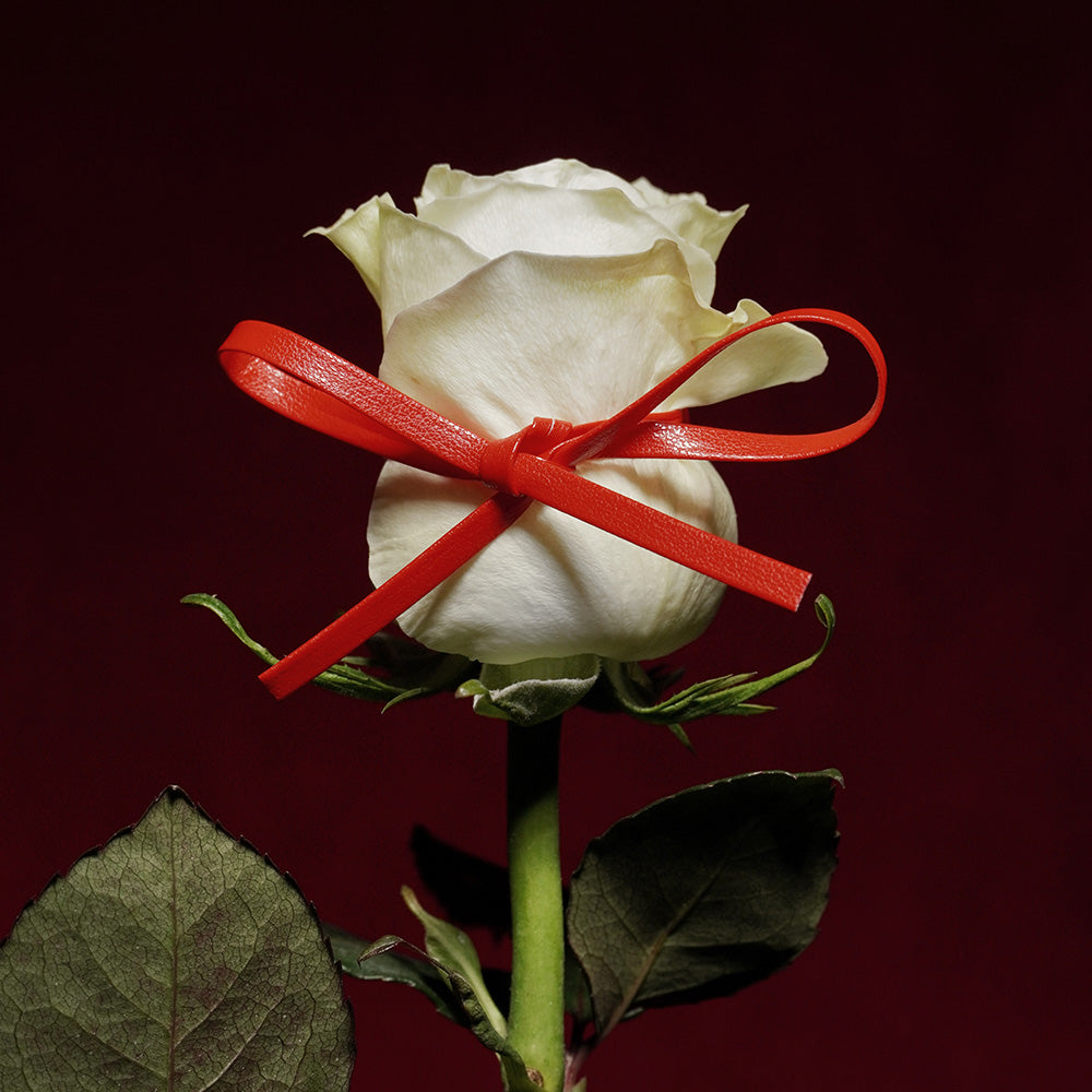 SIN & PLEASURE – BORNTOSTANDOUT