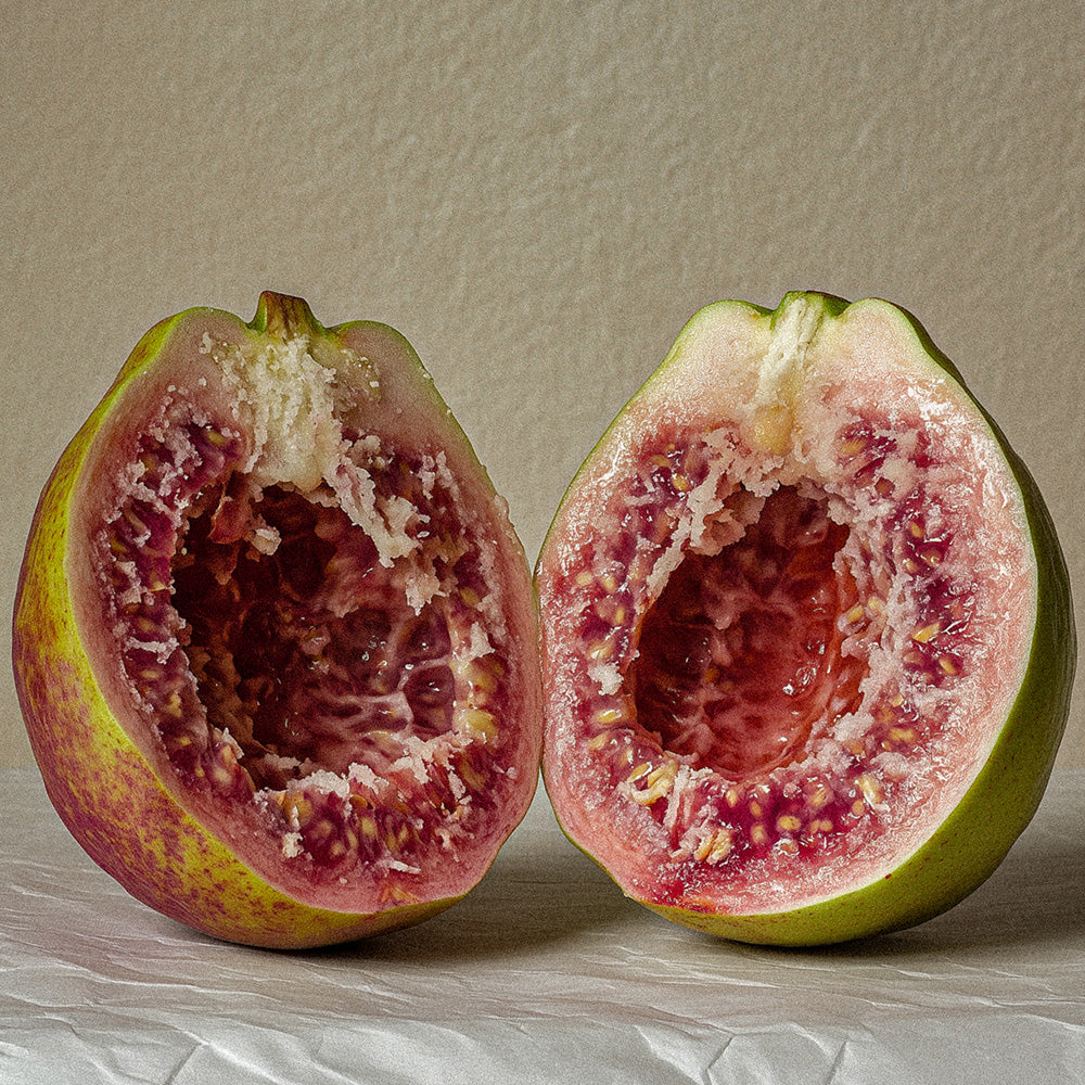 Inspiration image