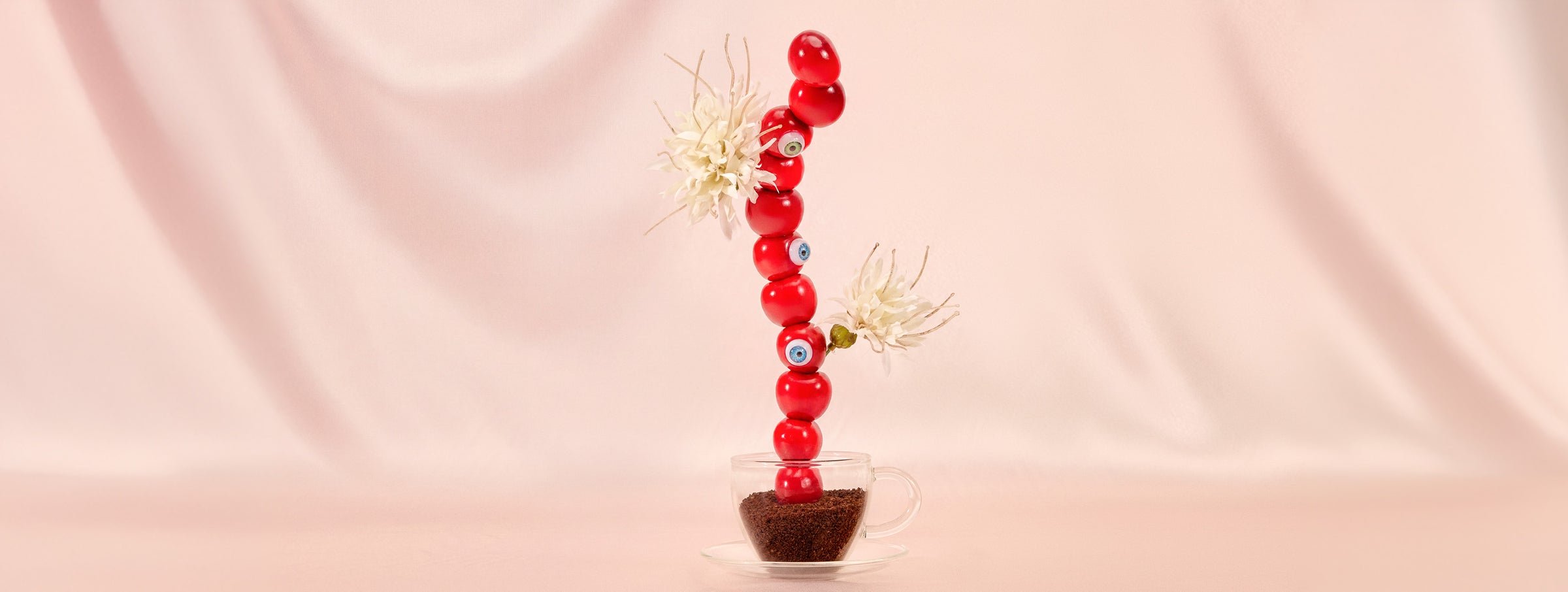 AMARENA CHERRY